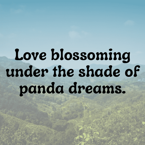 Panda Captions Photo For Instagram-VbGfY1