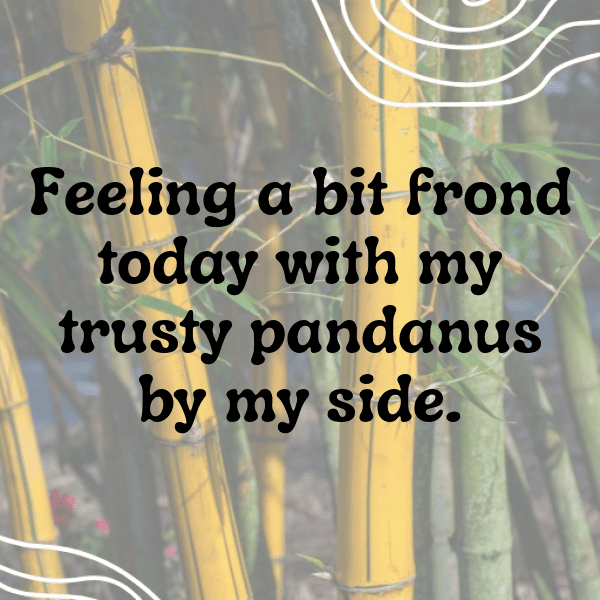 Pandanus Captions Image For Instagram-496HZx