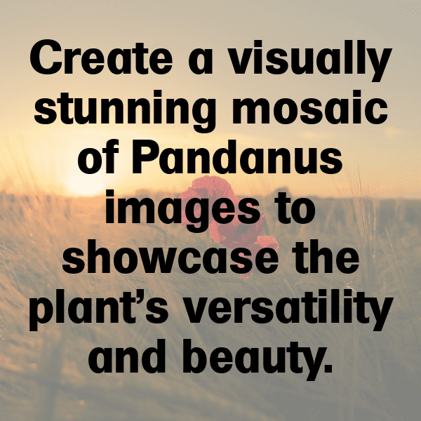 Pandanus Captions Image For Instagram-lAJynQ