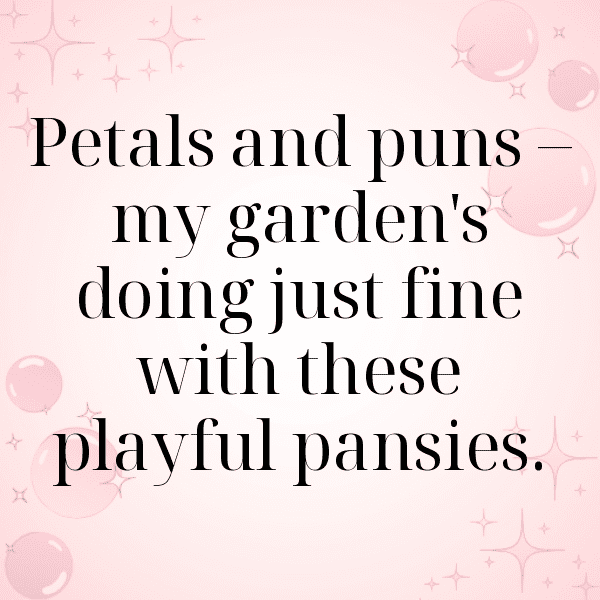 Pansy Captions Photo For Instagram-G5OdF9