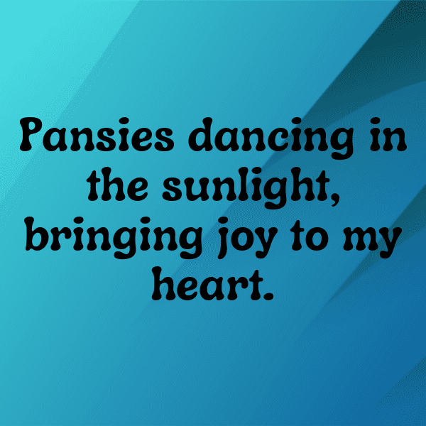 Pansy Captions Photo For Instagram-XnIPKB