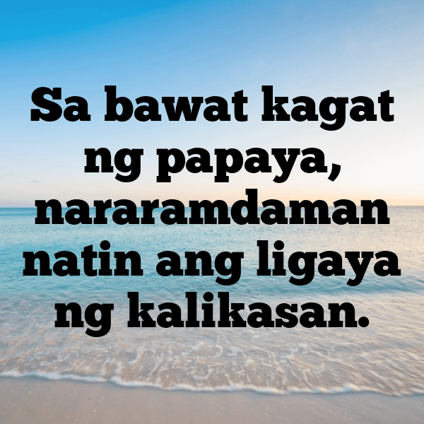 Papaya Captions Image For Instagram-ckEgzJ