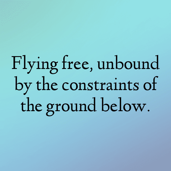 Parrot Captions Image For Instagram-0aRx9f