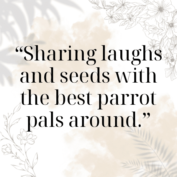 Parrot Captions Image For Instagram-mlIbam