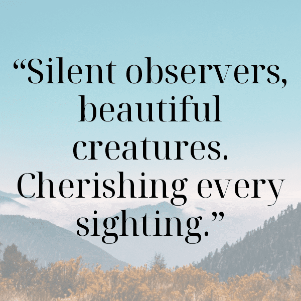 Parrot Captions Image For Instagram-UWsoQQ