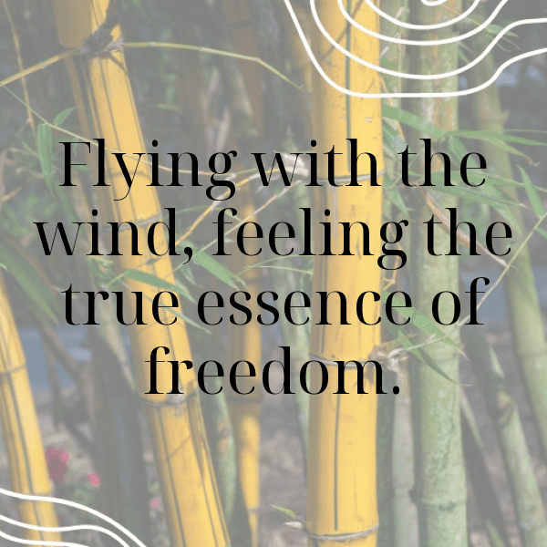 Parrot Captions Photo For Instagram-1ljMtF