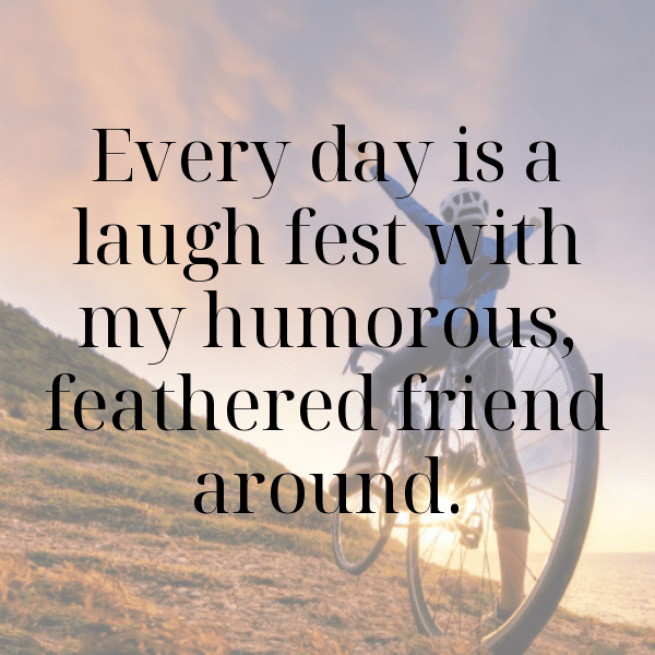 Parrot Captions Photo For Instagram-bSutOQ