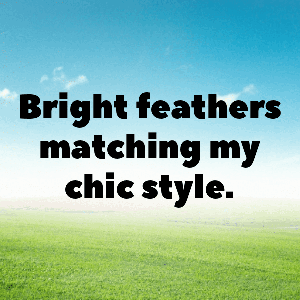 Parrot Captions Photo For Instagram-ESIUju