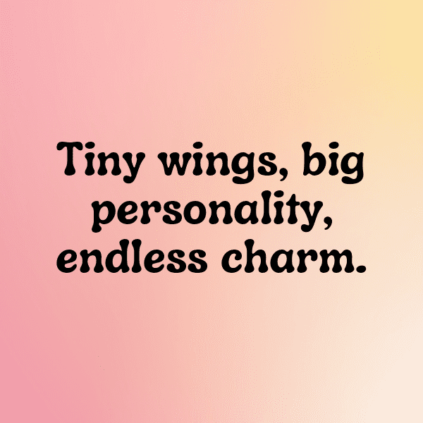 Parrot Captions Photo For Instagram-WPhLeq