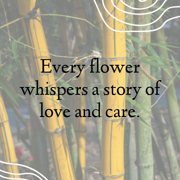 Parsley Captions Image For Instagram-JND0pK