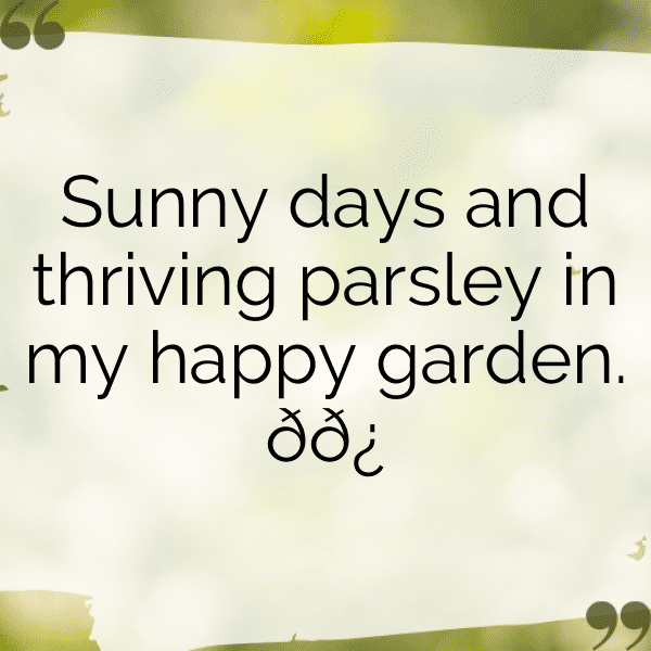 Parsley Captions Photo For Instagram-0EvqXZ