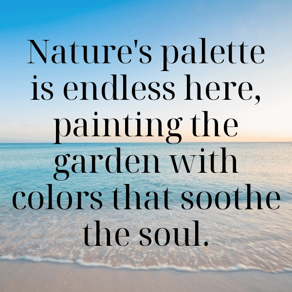 Parsley Captions Photo For Instagram-vJxe8x