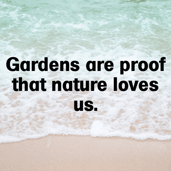 Parsnip Captions Photo For Instagram-BDKDf5