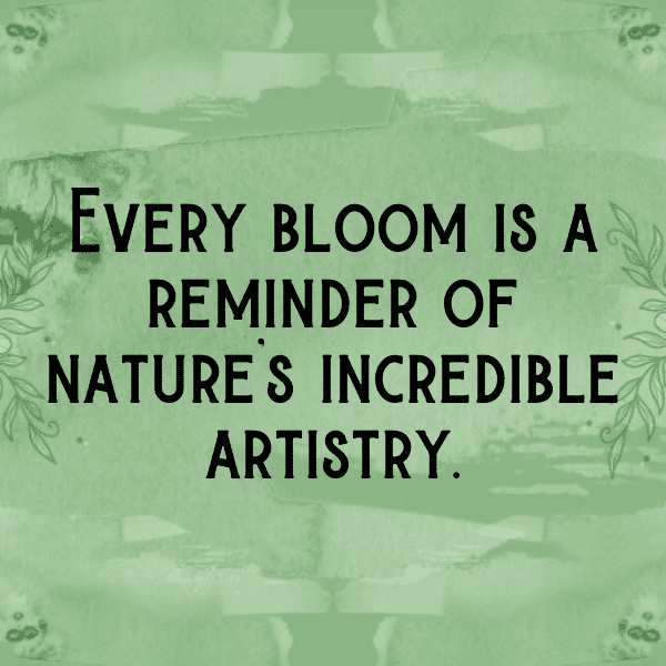 Passionflower Captions Image For Instagram-RO4BZM