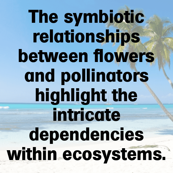 Passionflower Captions Photo For Instagram-EKeZGX