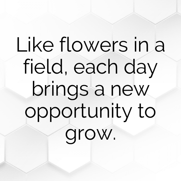 Passionflower Captions Photo For Instagram-ny1Isj