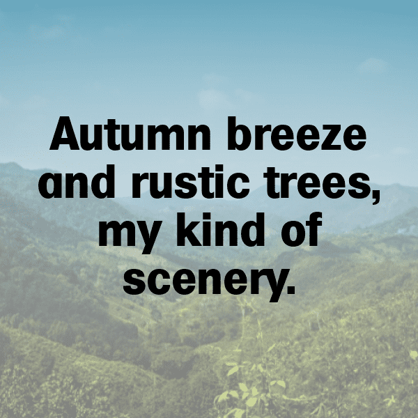 Pattypan Squash Captions Image For Instagram-boCpCd