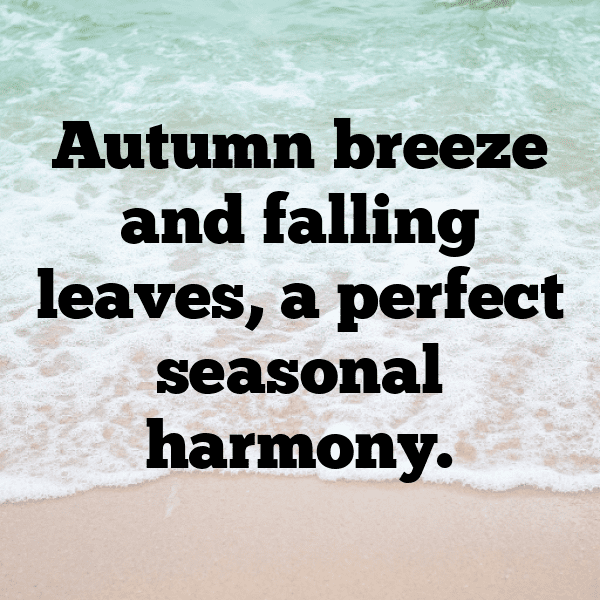 Pattypan Squash Captions Photo For Instagram-3pSOZa