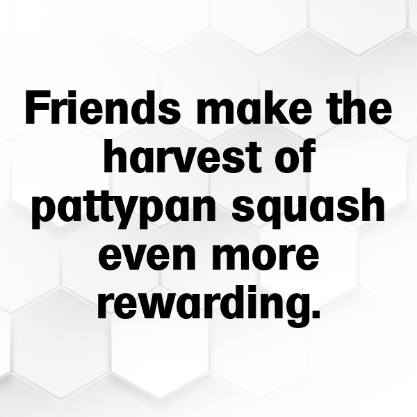 Pattypan Squash Captions Photo For Instagram-FAmSyN