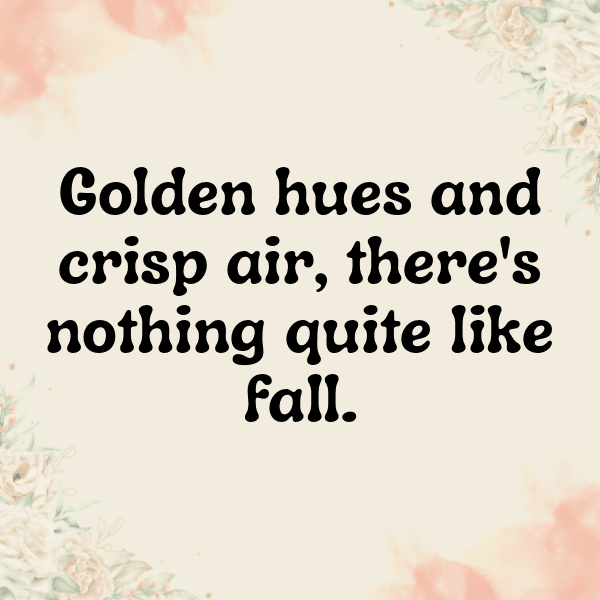 Pattypan Squash Captions Photo For Instagram-qm52f0