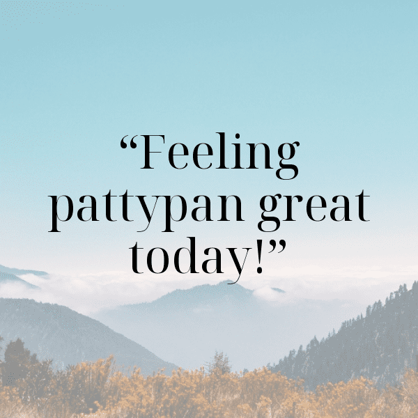 Pattypan Squash Captions Photo For Instagram-yccsXz