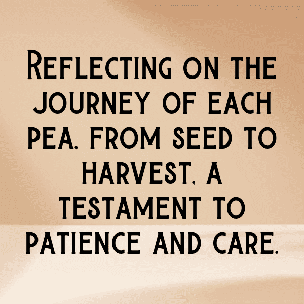 Pea Captions Photo For Instagram-U8FR4d