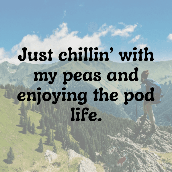 Pea Captions Photo For Instagram-ufojyr