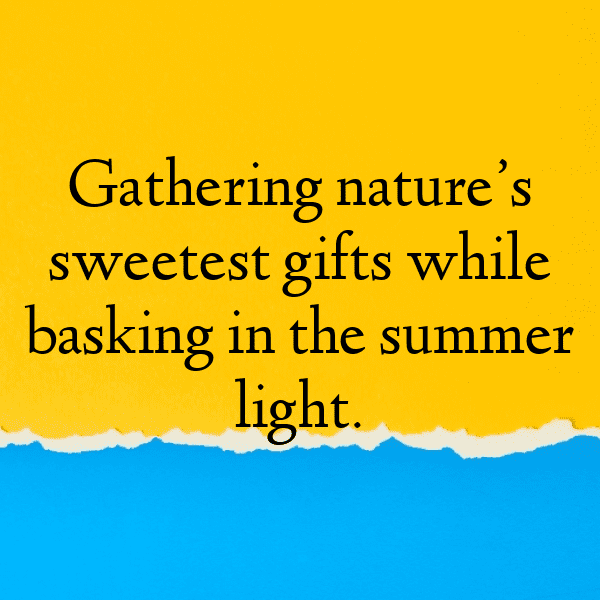 Peach Captions Photo For Instagram-mGM6cV