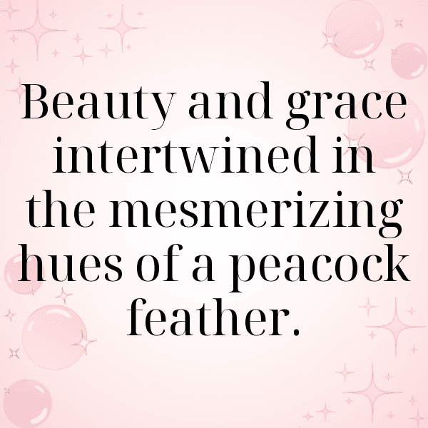 Peacock Captions Image For Instagram-aSG0IL