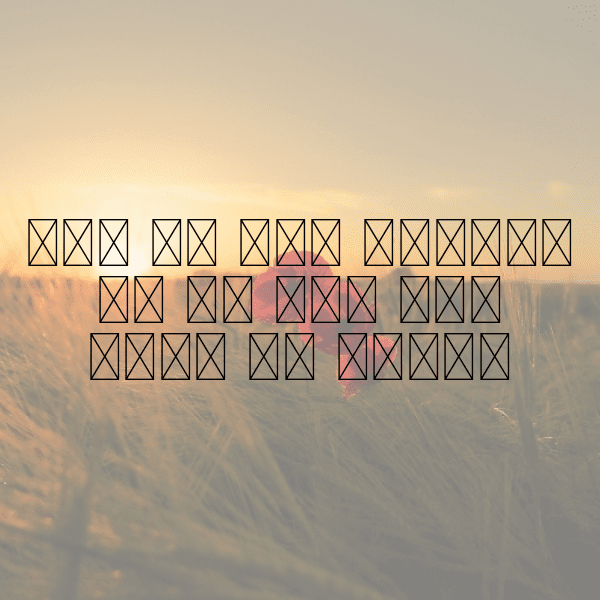 Peacock Captions Image For Instagram-LI8MKV