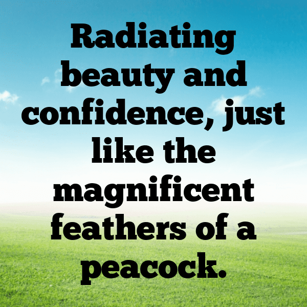 Peacock Captions Image For Instagram-yPt9k8