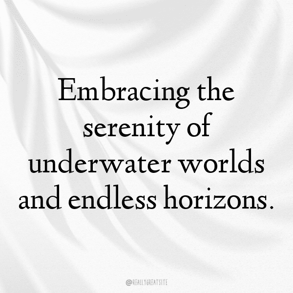 Pelican Captions Image For Instagram-zLww20