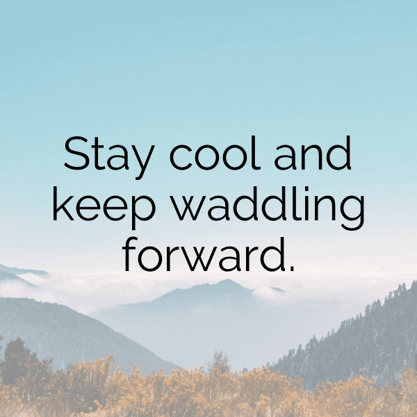 Penguin Captions Image For Instagram-0yWaHD