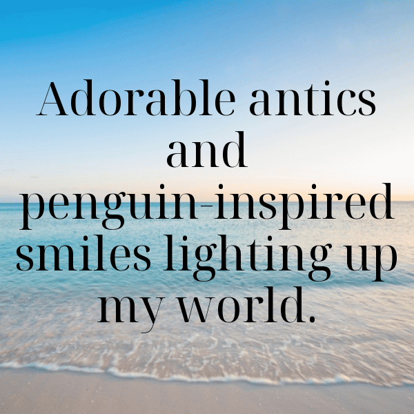 Penguin Captions Image For Instagram-3si8Ei
