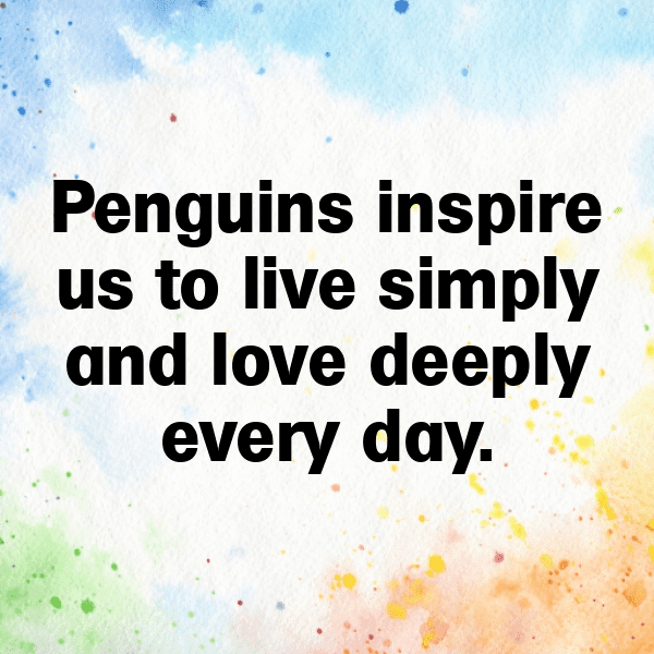 Penguin Captions Image For Instagram-AozgY3