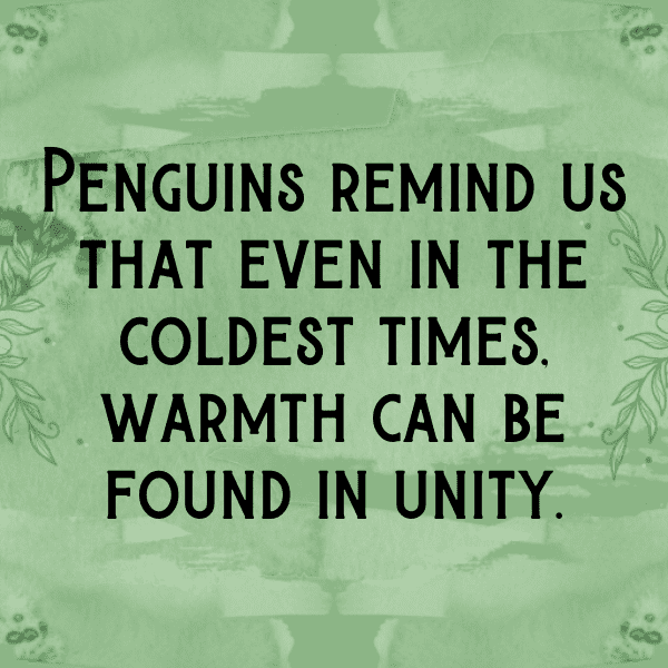 Penguin Captions Image For Instagram-gYyruw