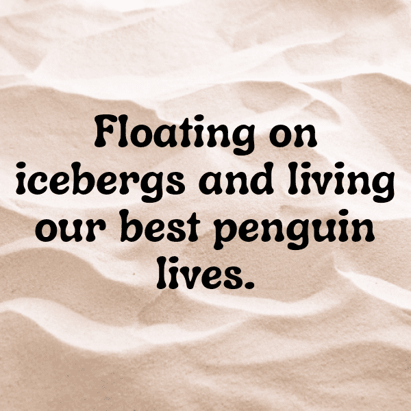 Penguin Captions Image For Instagram-lkrjpz