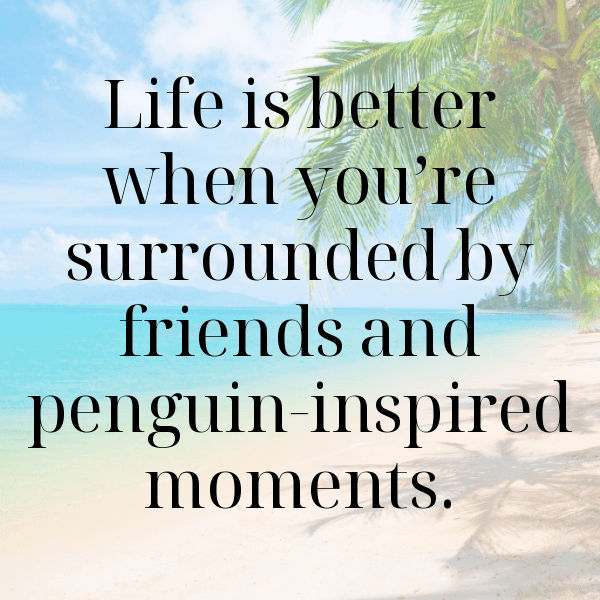 Penguin Captions Image For Instagram-xnhAGW