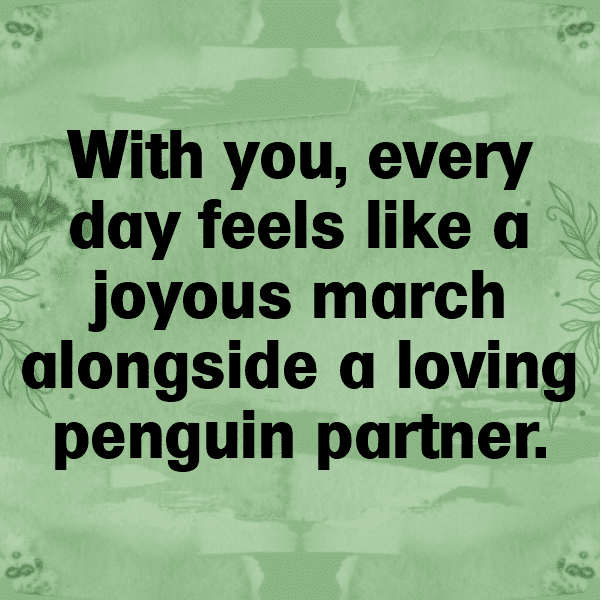 Penguin Captions Photo For Instagram-AUcwuA