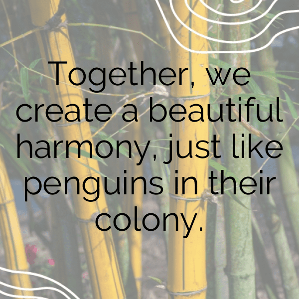 Penguin Captions Photo For Instagram-eaYnRr