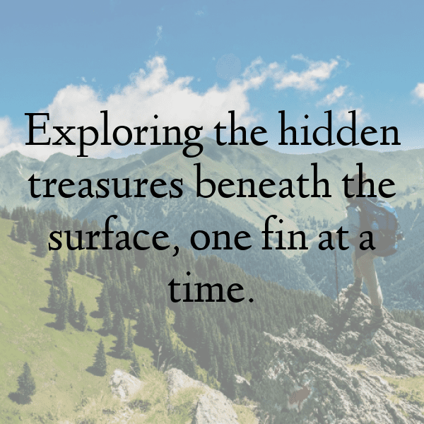 Penguin Captions Photo For Instagram-QDd5LC