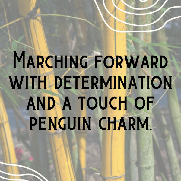 Penguin Captions Photo For Instagram-rWj4OL