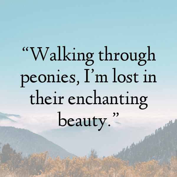 Peony Captions Image For Instagram-9mQWjI