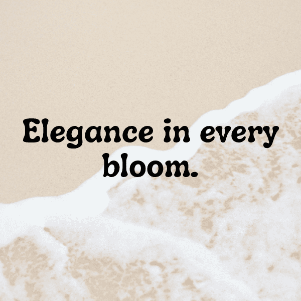 Peony Captions Photo For Instagram-PnxTHb