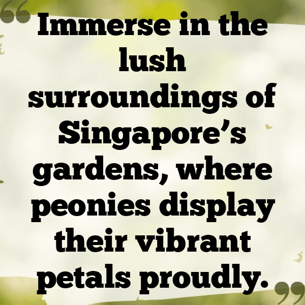 Peony Captions Photo For Instagram-uGtkax