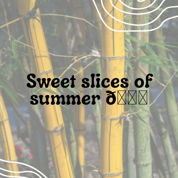 Pepino Melon Captions Image For Instagram-fIrz1G