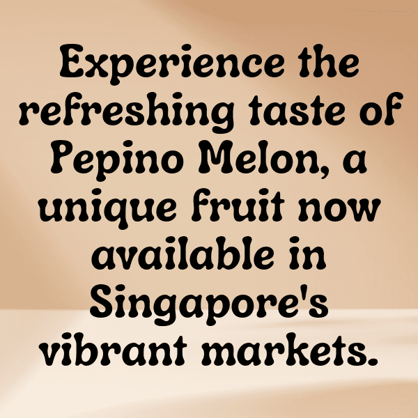 Pepino Melon Captions Image For Instagram-VRJKbp