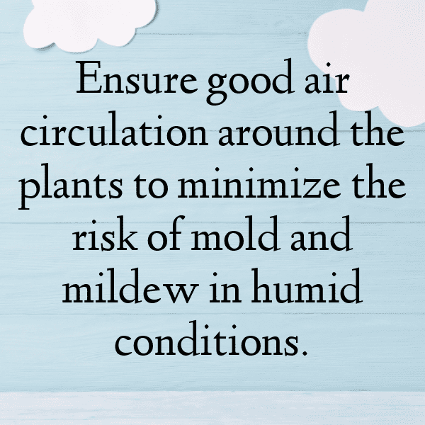 Perilla Captions Image For Instagram-mtelKC