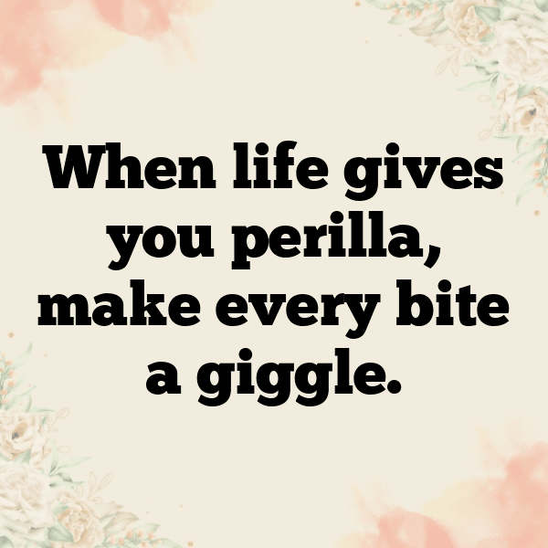 Perilla Captions Photo For Instagram-FhCnVg