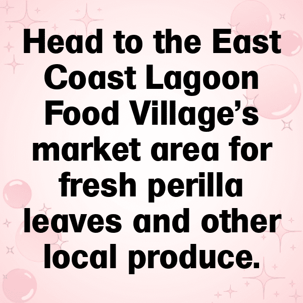 Perilla Captions Photo For Instagram-W1wqSg